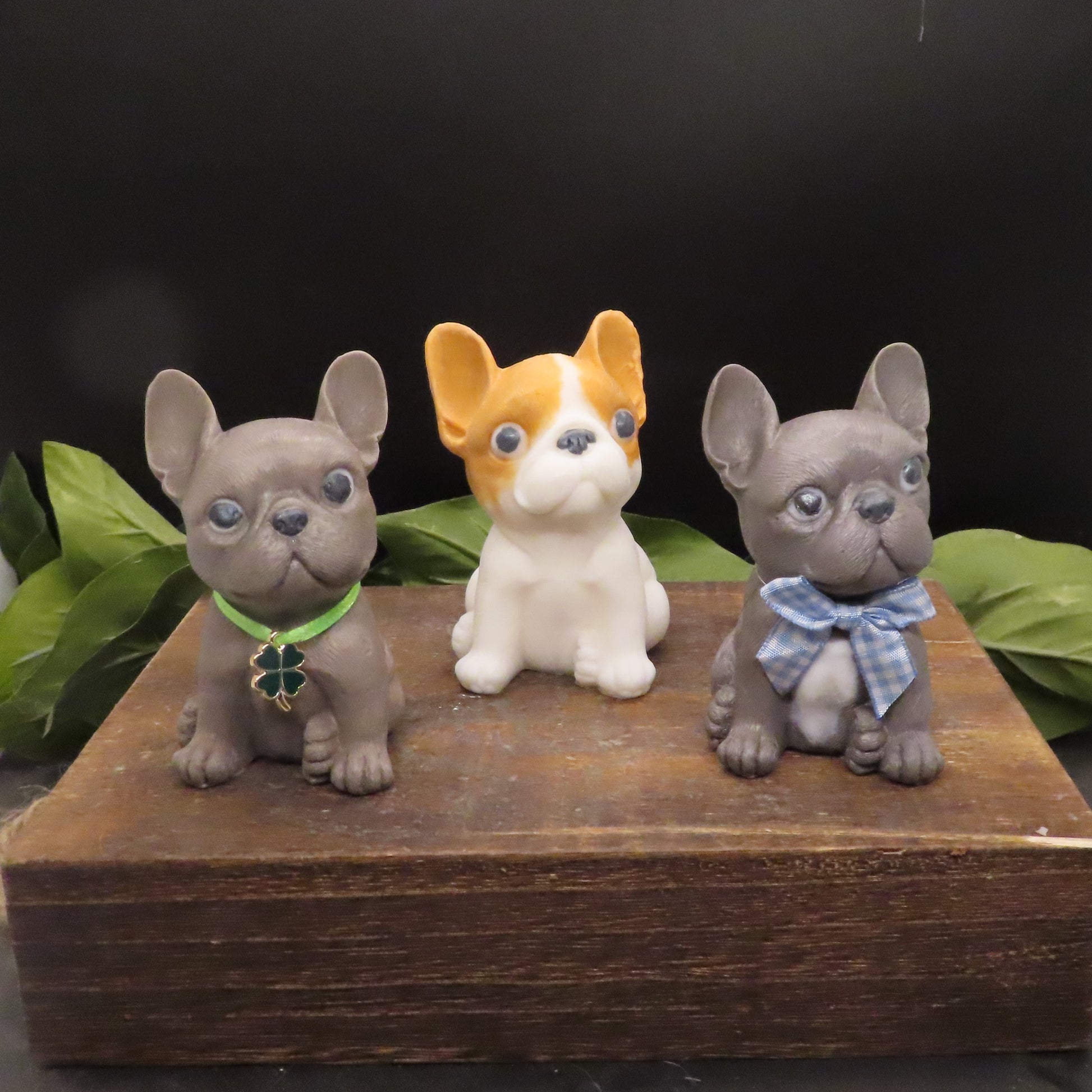 2 French bulldogs in various colors.  Makes a great gift