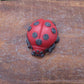 Single ladybug goat milk soap great gift