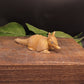 Armadillo Soap