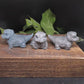 monitor lizard soap bar angles