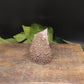 bar soap hedgehog