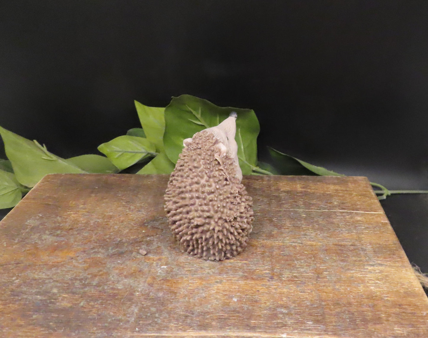 bar soap hedgehog