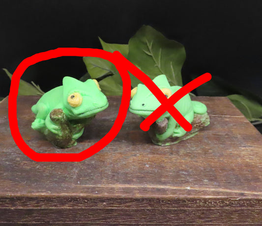 bargain gecko