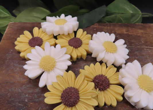 daisy or sunflower goat milk soap set
