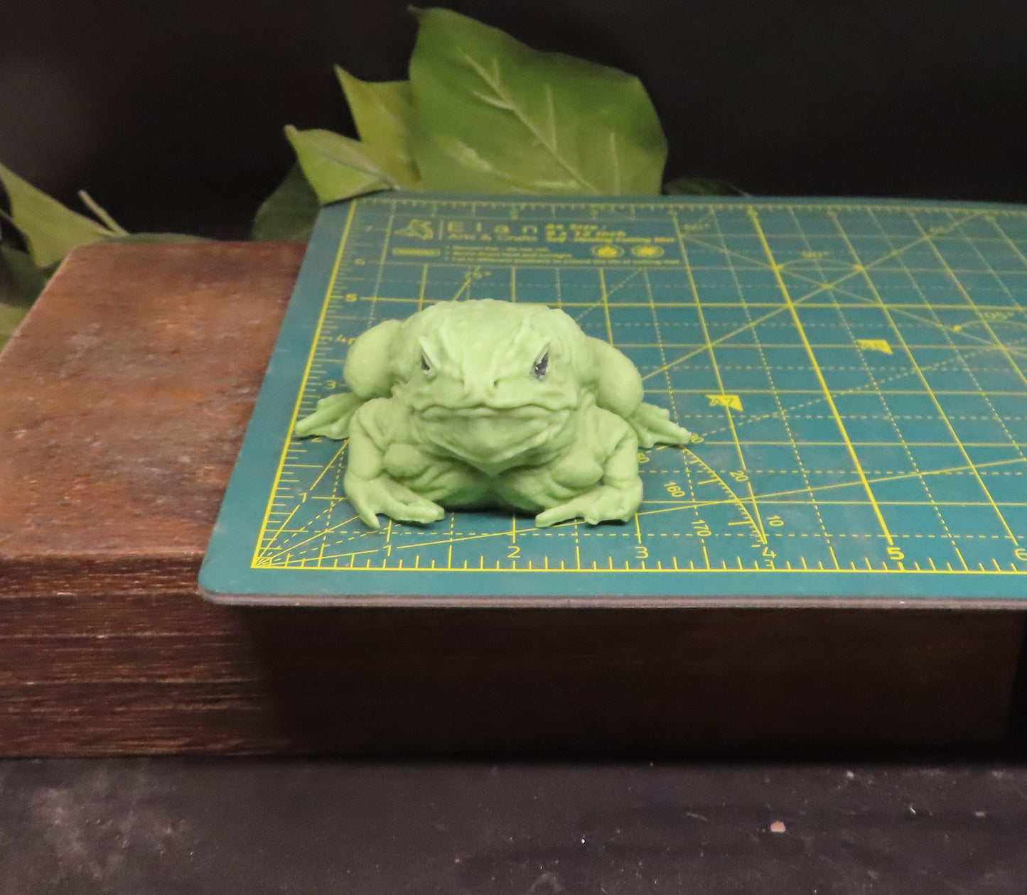 large toad soap bar