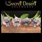 Hands Down the Cutest Elephant Goat Milk Soap You Will Ever Find!