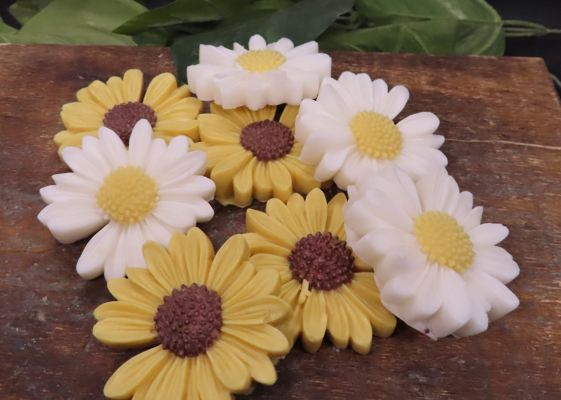 sunflower or daisy goat milk soap set