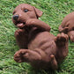 Adorable Belly Rub Labrador Retriever Goat Milk Soap