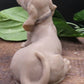 Very Detailed Short Haired Dachshund Goat Milk Soap
