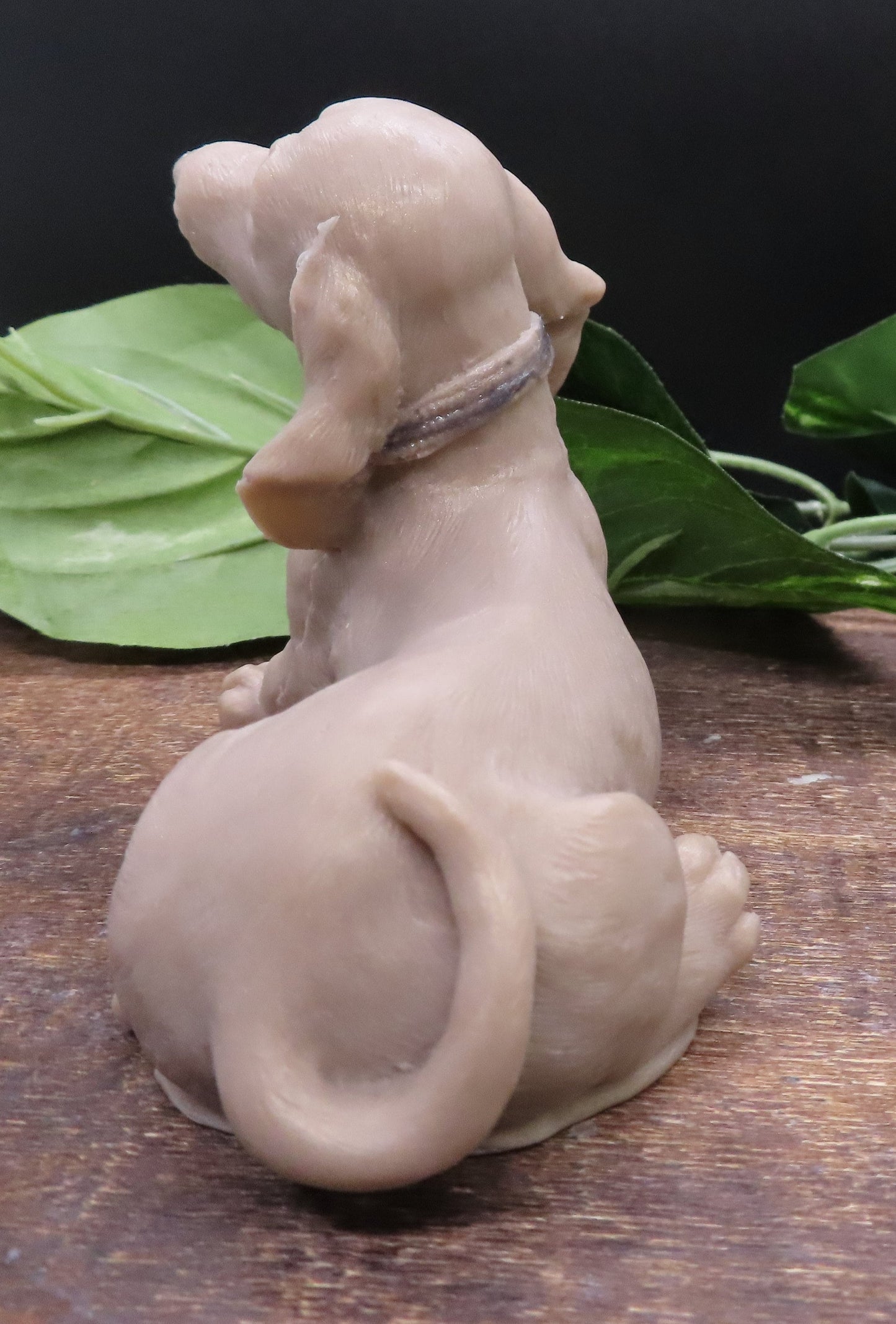 Very Detailed Short Haired Dachshund Goat Milk Soap