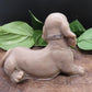 Very Detailed Short Haired Dachshund Goat Milk Soap