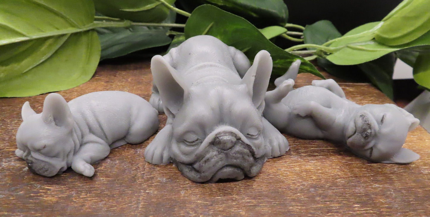 gray masked french bulldog family