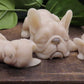 tan french bulldog family