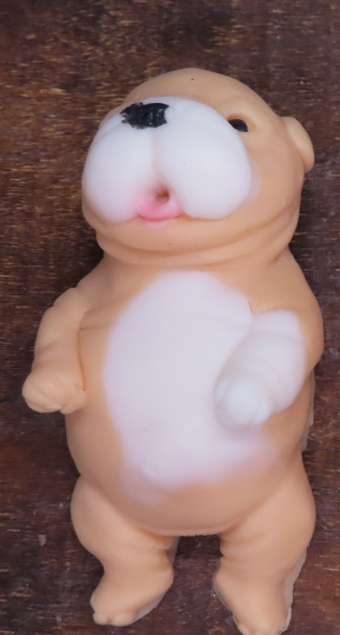 Darling Newborn Belly Rub Pit Bull Puppy Hand Made Goat Milk Soap!