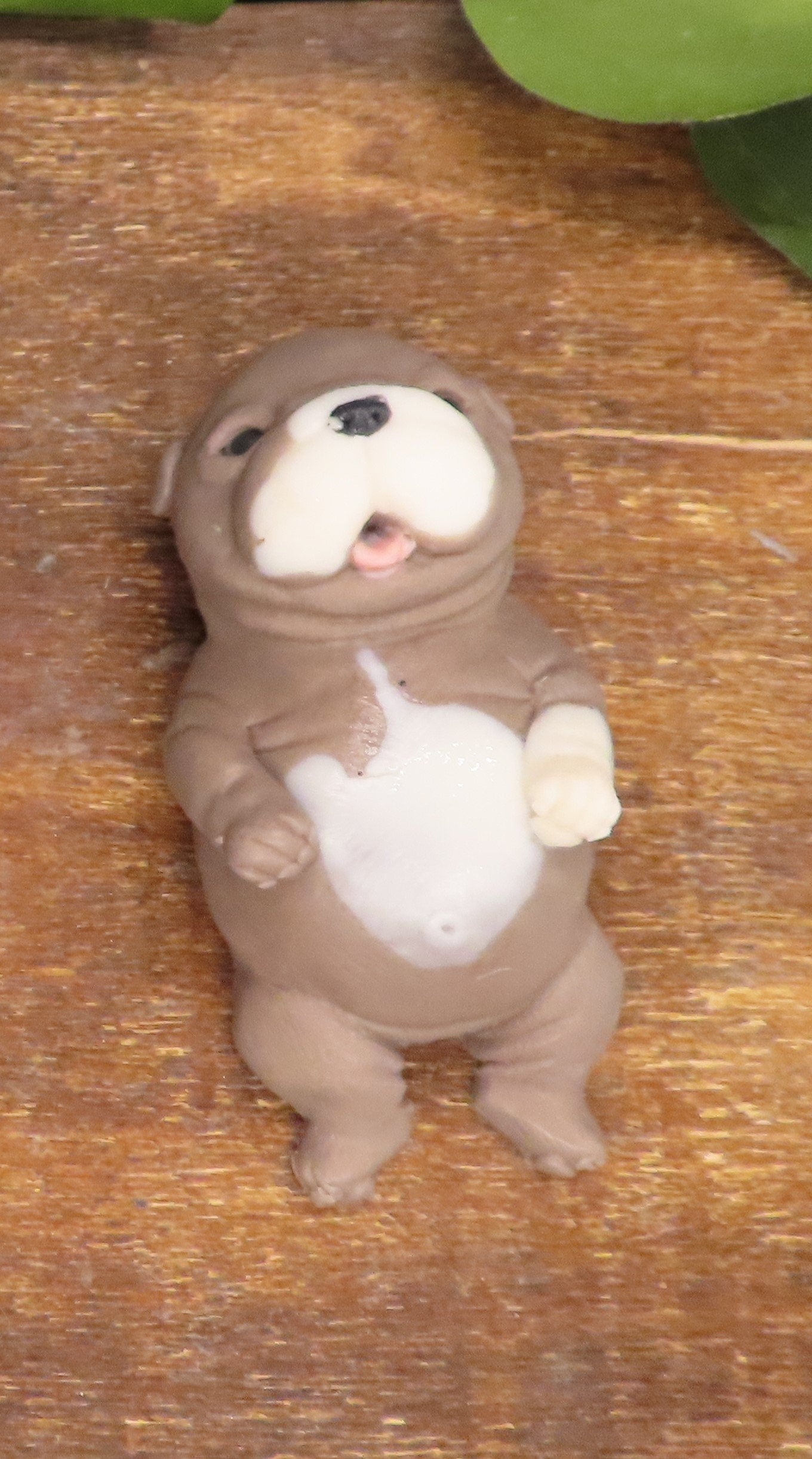 Darling Newborn Belly Rub Pit Bull Puppy Hand Made Goat Milk Soap!