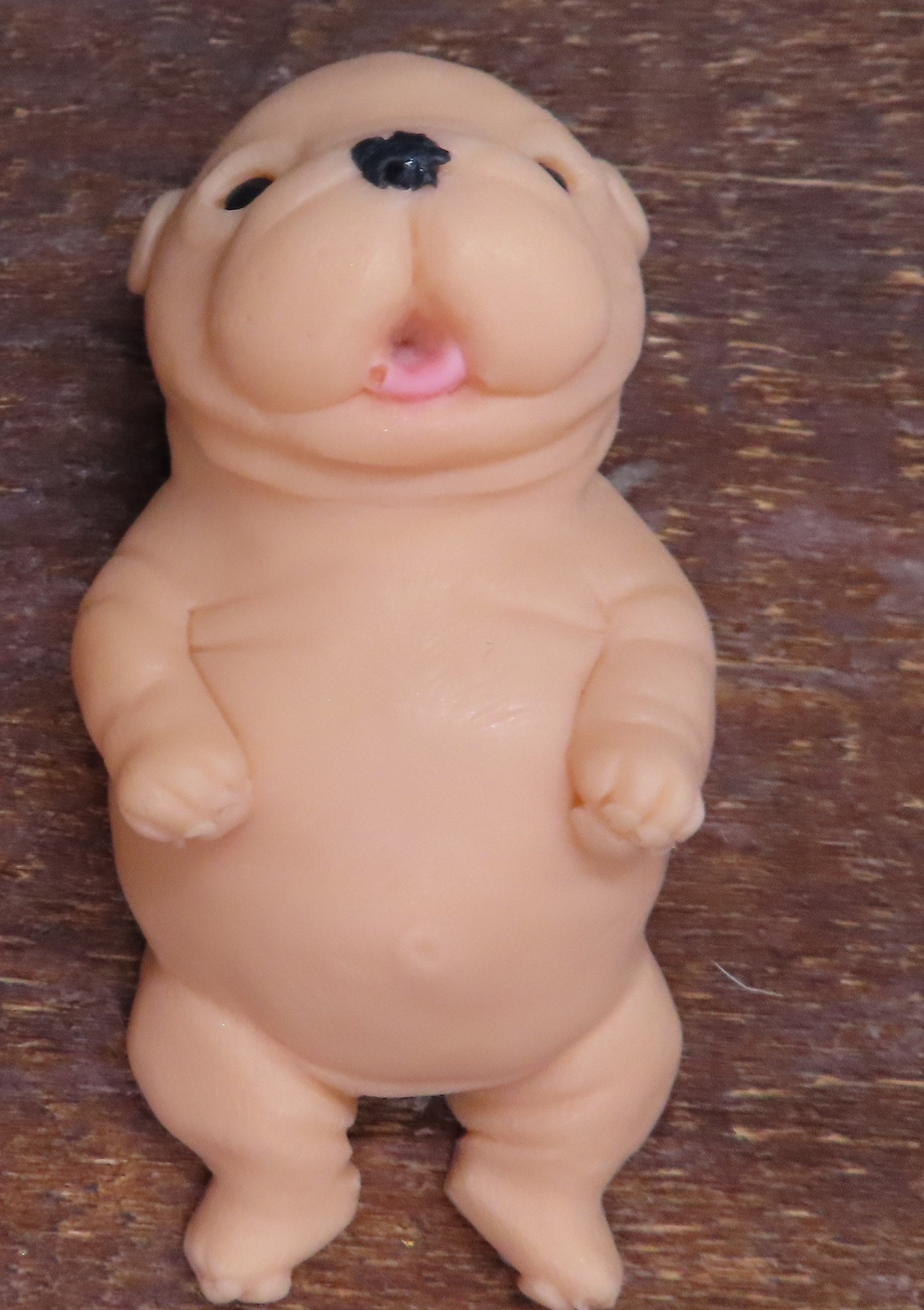 Darling Newborn Belly Rub Pit Bull Puppy Hand Made Goat Milk Soap!