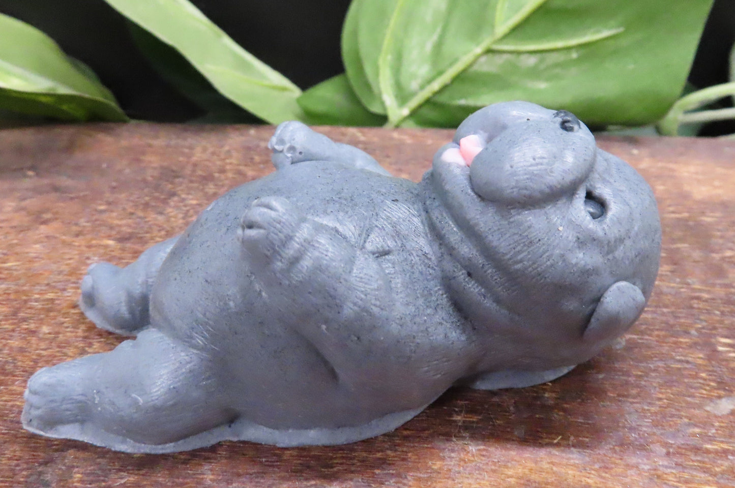 Darling Newborn Belly Rub Pit Bull Puppy Hand Made Goat Milk Soap!