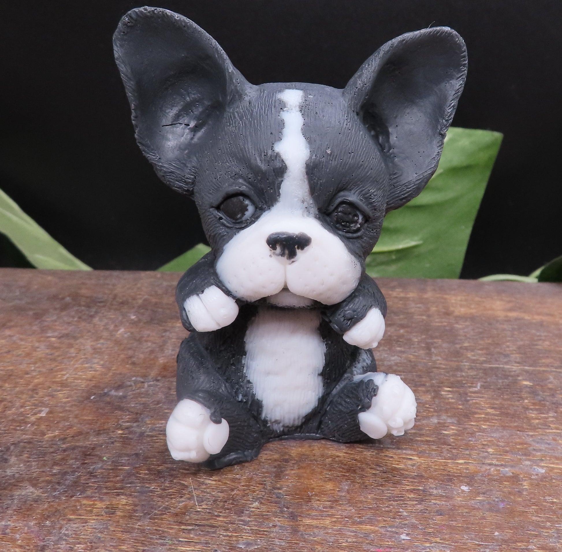 Image of Boston Terrier soap in the Black and White Color option
