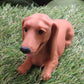 Super Cute Doxi Dachshund Goat Milk Soap Set.  Includes all 3 poses!