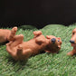 Super Cute Doxi Dachshund Goat Milk Soap Set.  Includes all 3 poses!