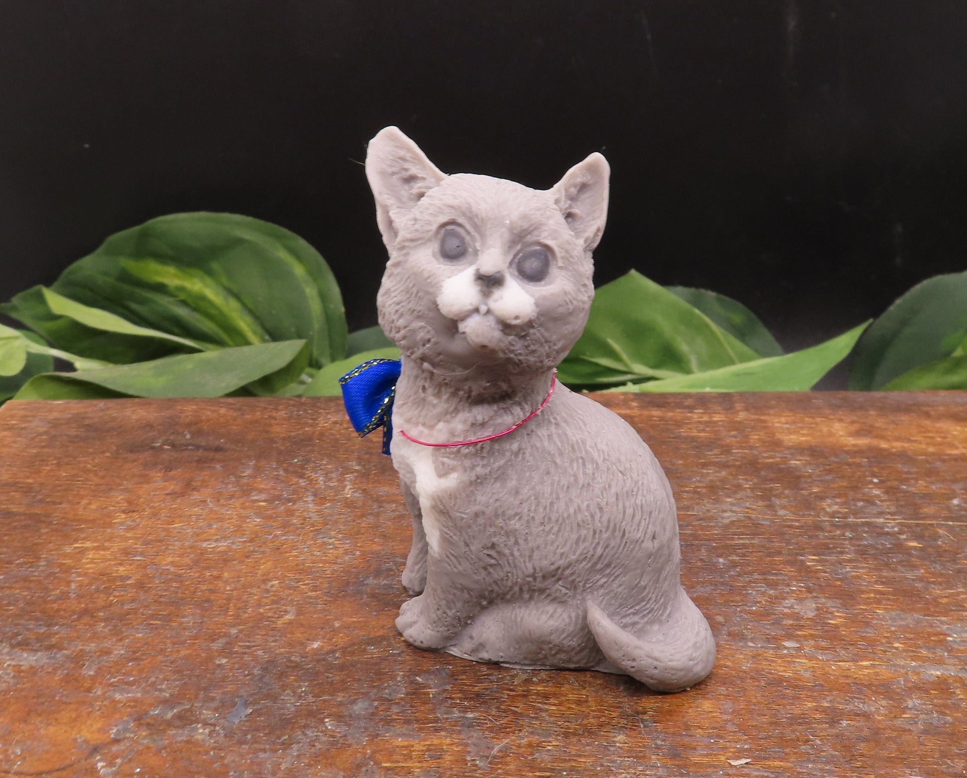 kitten soap
