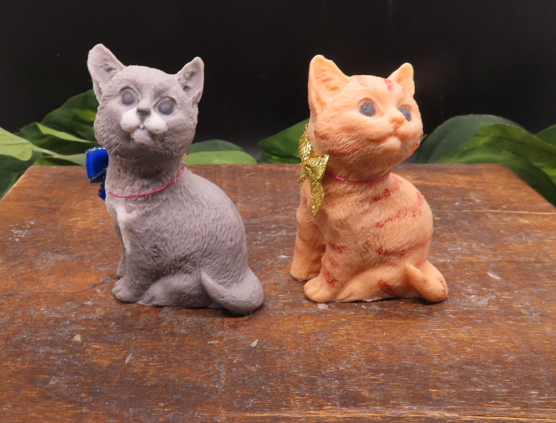 Kitten gift