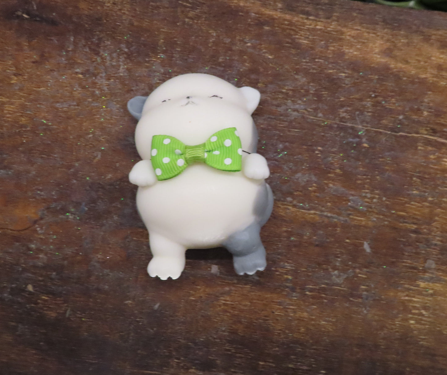 kitten soap